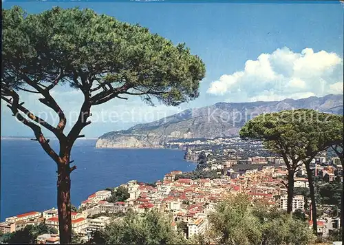 Sorrento Campania K?ste Meer Kat. Sorrento