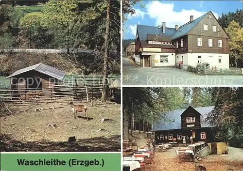 Waschleithe Tierpark Gaststaette Osterlamm Koehlerhuette  Kat. Beierfeld Erzgebirge