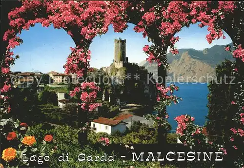 Malcesine Lago di Garda  Kat. Malcesine