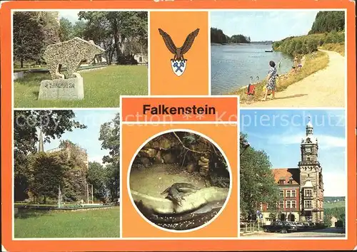 Falkenstein Vogtland Schlossteich Talsperre Schlossfelsen Nilkrokodil Rathaus  Kat. Falkenstein Vogtland