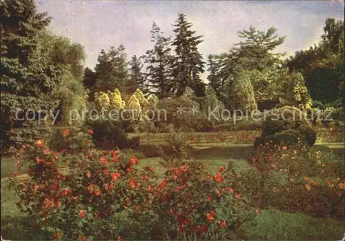 Sangerhausen Suedharz Rosarium Parkrose  Kat. Sangerhausen