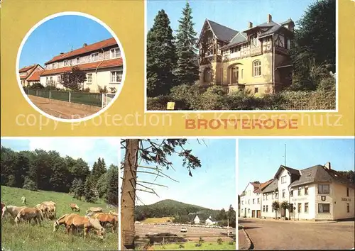 Brotterode Siedlerstrasse Jugendherberge Ernst Knaack Haflinger  Kat. Brotterode