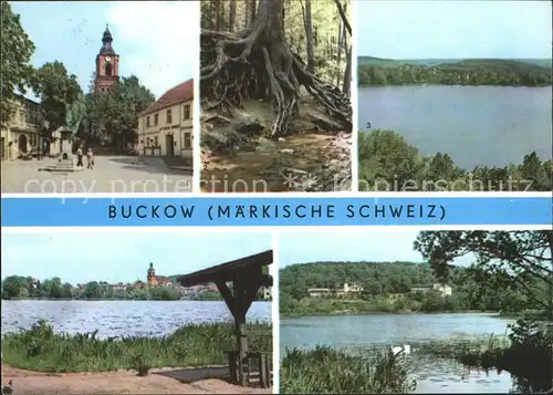 Buckow Maerkische Schweiz Schermuetzelsee Markt Buckow-See Griepensee / Buckow Maerkische Schweiz /Maerkisch-Oderland LKR