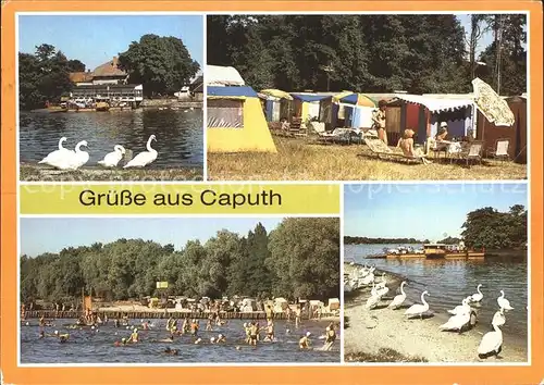 Caputh Camping Strand Kat. Schwielowsee