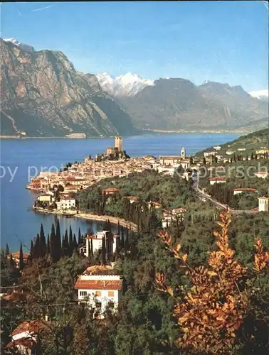 Malcesine Lago di Garda Lago di Garda Gardasee Kat. Malcesine