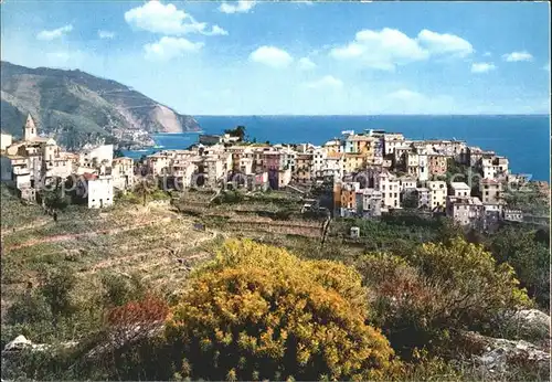 Spezia La Cinque terre Teilansicht Kat. La Spezia