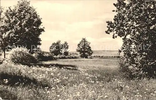 Reichenbach Vogtland Landschaftsaufnahme Kat. Reichenbach