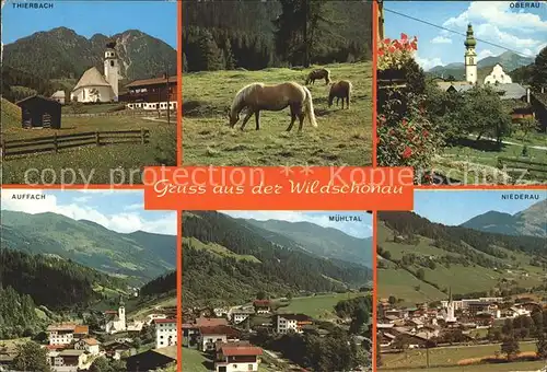 Wildschoenau Tirol Oberau Thierbach Auffach Niederau Muehltal / Kufstein /Tiroler Unterland