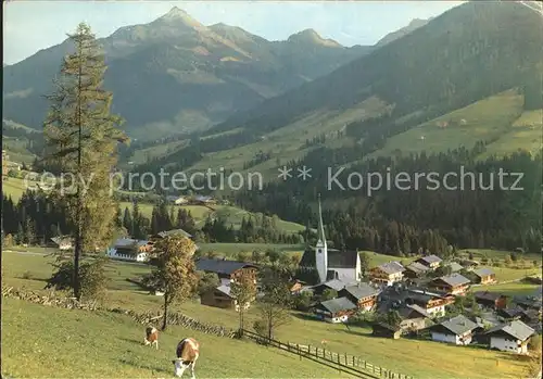 Alpbach Galtenberg Kat. Alpbach