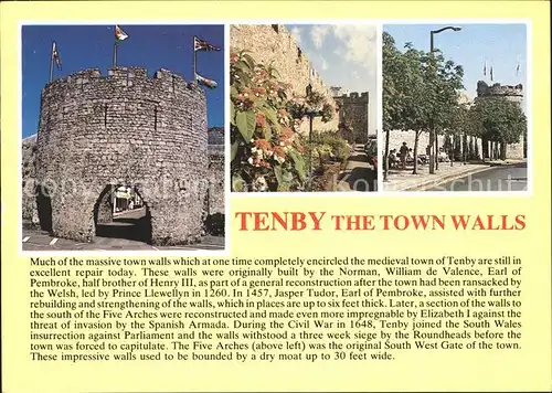 Tenby Town Walls Stadtmauern Kat. Pembrokeshire