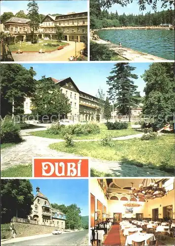 Dubi Schwimmbad Park Hotel Kat. Eichwald