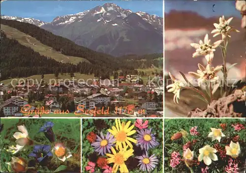 Seefeld Tirol Gesamtansicht mit Alpenpanorama Alpenblumen Kat. Seefeld in Tirol
