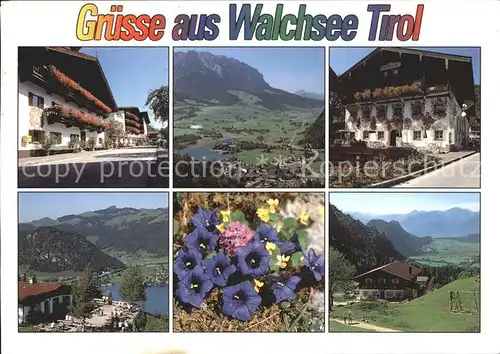 Walchsee Tirol Hauptstrasse Blumenhaeuser Kaisergebirge Walchseerhof Lippenalm Alpenblumen Ottenalm Kat. Walchsee