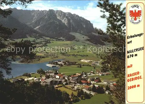 Walchsee Tirol Panorama mit Kaisergebirge Kat. Walchsee