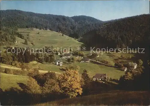 Ruette Todtmoos Panorama Schwarzwald Herbststimmung Kat. Todtmoos