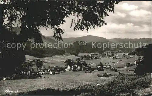 Buhlbach Obertal Panorama / Baiersbronn /Freudenstadt LKR