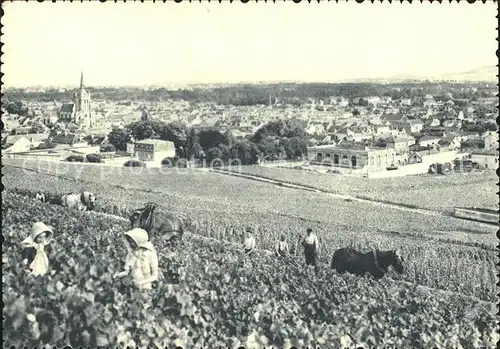 Reims Champagne Ardenne Champagne Pommery et Greno Ay Vue generale Premier cru de raisins noirs  Kat. Reims