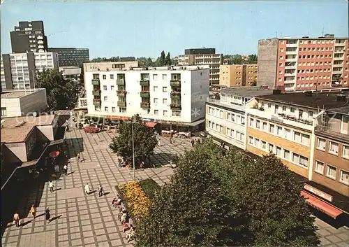 Lebenstedt In den Blumentriften Kat. Salzgitter