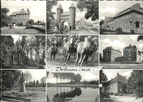 Duelmen Franz Hospital Stadtsparkasse Haus Merfeld Gymnasium Kat. Duelmen