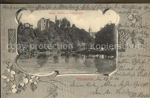 Tharandt Schlossteich Ruine Kirche Blumen Kat. Tharandt