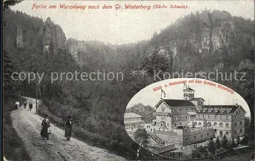 Grosser Winterberg Partie am Wurzelweg Berghotel Restaurant / Bad Schandau /Saechsische Schweiz-Osterzgebirge LKR