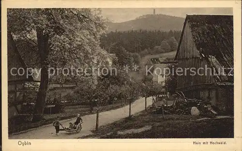 Hain Oybin Ortspartie mit Blick zum Hochwald Zittauer Gebirge Serie Deutsche Heimatbilder Kat. Kurort Oybin