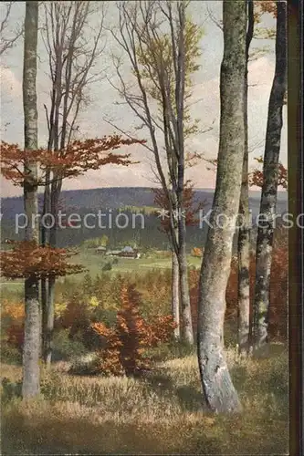 Rehefeld Zaunhaus Blick vom Hemmschuh gegen das Schloss Photochromie Serie I Kat. Altenberg