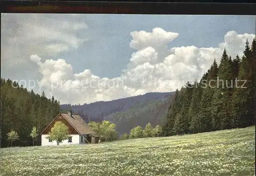 Rehefeld Zaunhaus Schwarzwassertal Photochromie Serie II Kat. Altenberg