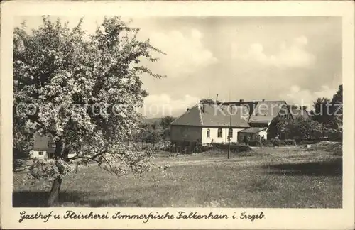 Falkenhain Altenberg Erzgebirge Gasthof und Fleischerei Sommerfrische Baumbluete Kat. Altenberg