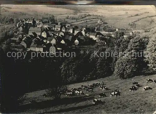 Lauenstein Erzgebirge Panorama Viehweide Kuehe Kat. Geising