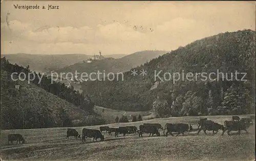 Wernigerode Harz Panorama mit Blick zum Schloss Viehweide Kuehe Kat. Wernigerode