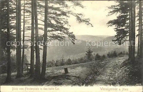 Wernigerode Harz Foersterplatz kalte Tal Kat. Wernigerode