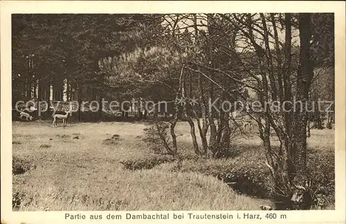 Trautenstein Harz Partie aus dem Dambachtal Kat. Hasselfelde