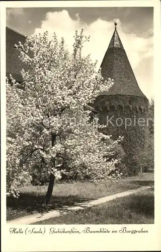 Halle Saale Burg Giebichenstein Burggraben Kat. Halle