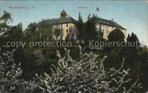 Blankenburg Harz Schloss Kat. Blankenburg