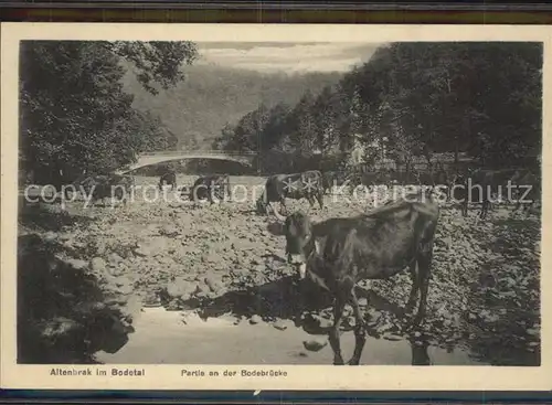 Altenbrak Harz Bodetal Partie Bodebruecke Kat. Altenbrak