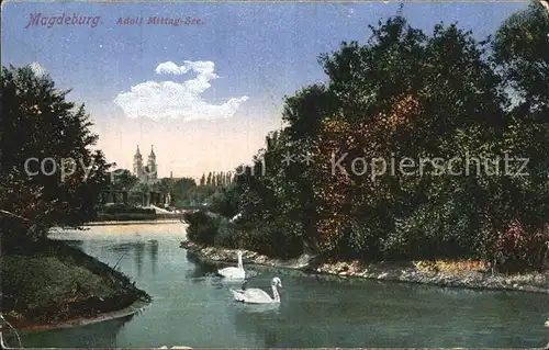 Magdeburg Adolf Mittag See Kat. Magdeburg