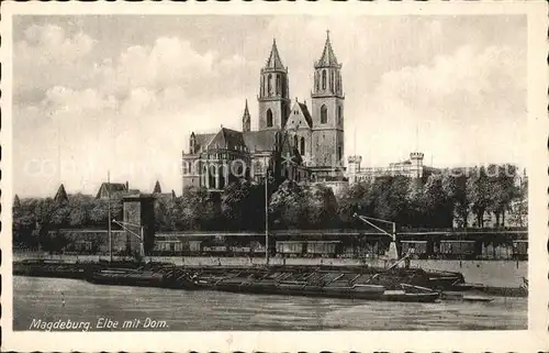 Magdeburg Elbe Dom Kat. Magdeburg