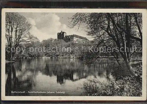 Ballenstedt Forstfachschule ehemaliges Schloss Kat. Ballenstedt