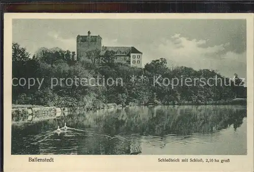 Ballenstedt Schlossteich Schloss  Kat. Ballenstedt