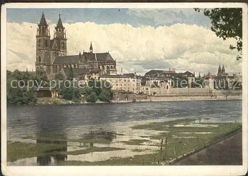 Magdeburg Dom Elbe  Kat. Magdeburg