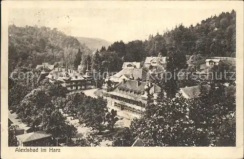 Alexisbad Harz Ortsansicht Kat. Harzgerode