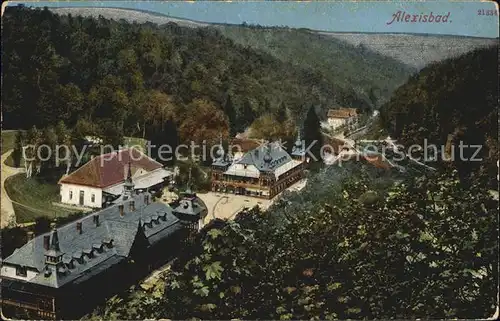 Alexisbad Harz Ortsansicht Kat. Harzgerode