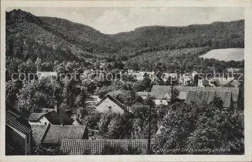 Stecklenberg Luftkurort Ansicht Kat. Stecklenberg