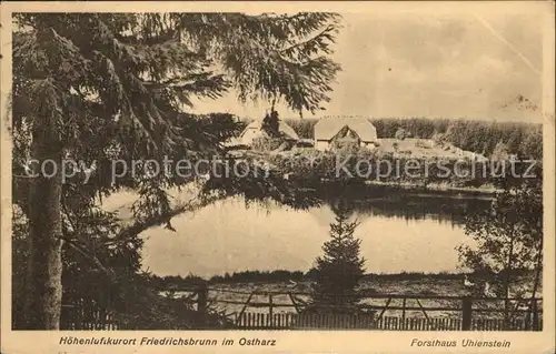 Friedrichsbrunn Harz Hoehenluftkurort Forsthaus Uhlenstein Kat. Friedrichsbrunn