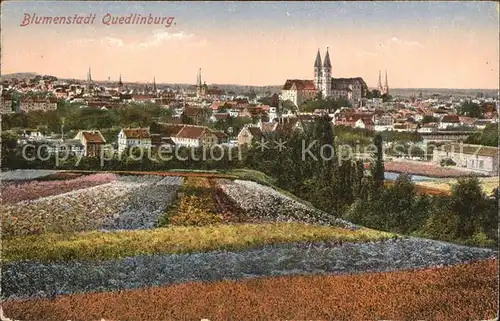 Quedlinburg Blumenstadt Ortsansicht Kat. Quedlinburg