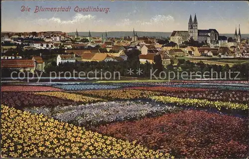 Quedlinburg Blumenstadt Kirche Ortsansicht Hilfslazarett Kaiserhof Quedlinburg Kat. Quedlinburg