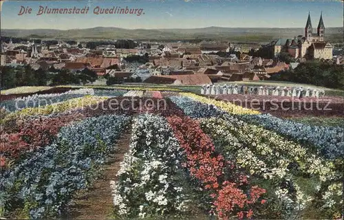 Quedlinburg Blumenstadt Ortsansicht Kat. Quedlinburg