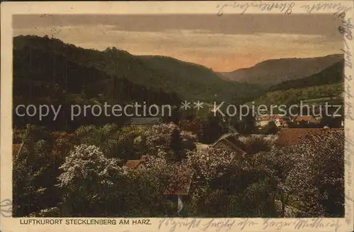 Stecklenberg Luftkurort Harz Kat. Stecklenberg