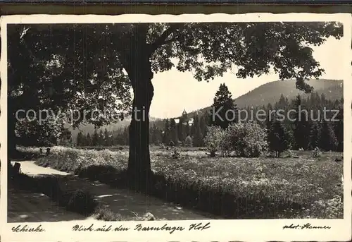 Schierke Harz Blick auf den Barenberger Hof Kat. Schierke Brocken